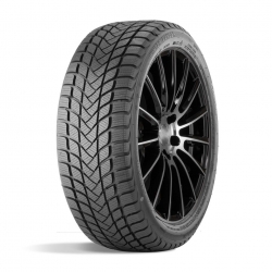 195/55R15 85H LANDSAIL WINTER LANDER