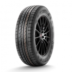 225/60R18 100T DOUBLESTAR DS01