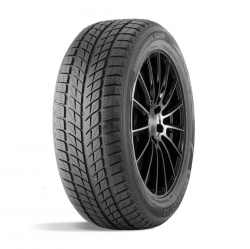 235/55R20 102H DOUBLESTAR DW09