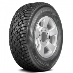 215/60R17 96T DELINTE Winter WD42 