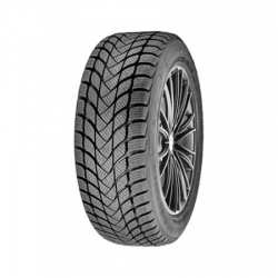 155/65R13 73T DELINTE Winter WD6 